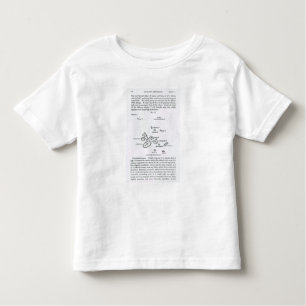 Camiseta Infantil Mapa do arquipélago de Galápagos, 1844