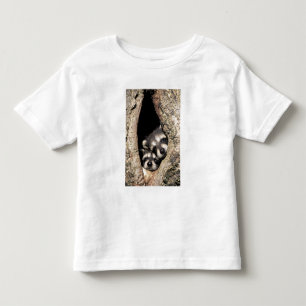 Camiseta Infantil Mapeh guaxinins em cavidade de árvore Procyon