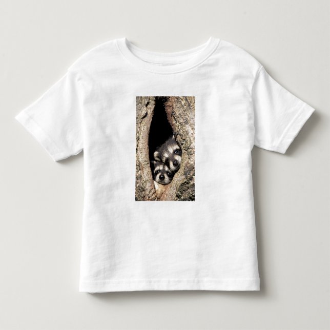 Camiseta Infantil Mapeh guaxinins em cavidade de árvore Procyon (Frente)