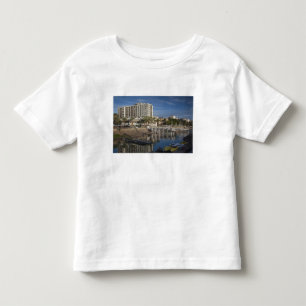 Camiseta Infantil Mar da Galileia-lago Tiberias, frente de água, al