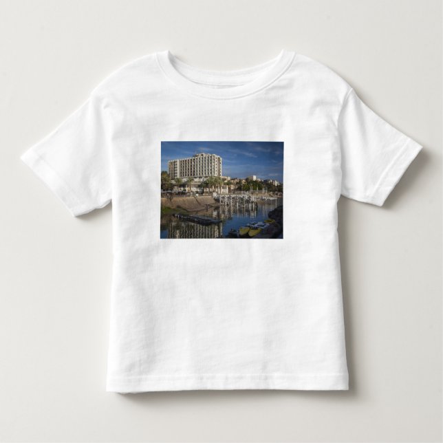 Camiseta Infantil Mar da Galileia-lago Tiberias, frente de água, alv (Frente)