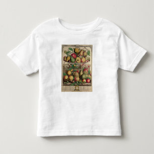 Camiseta Infantil Março, 'de doze meses das frutas