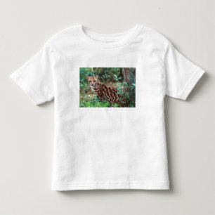 Camiseta Infantil Margay, Leopardus wiedi, Nativo do México até