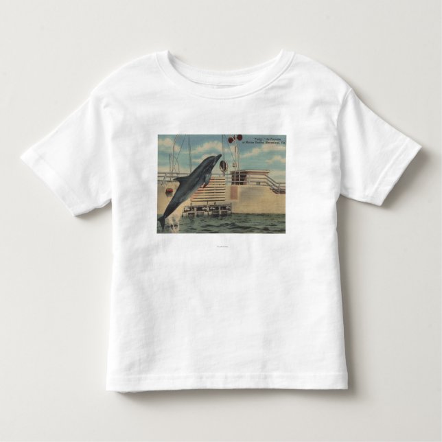 Camiseta Infantil Marineland, Florida - vista do Pudgy (Frente)