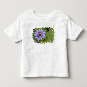 Camiseta Infantil Martinique, Antilhas Francesas, Índias Ocidentais,