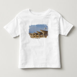 Camiseta Infantil Matriz Muito Grande, também conhecida como Observa