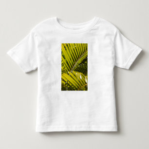 Camiseta Infantil Maurícia, Maurícia Central, Moka, palmeira