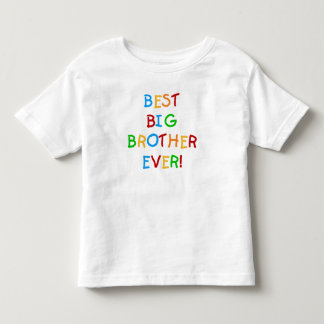 Camiseta Infantil Melhor Irmão Grande Nunca