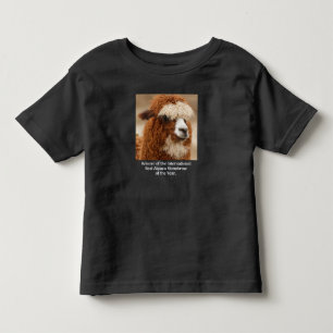 Camiseta Infantil Melhor Sobrancelha Única de Alpaca