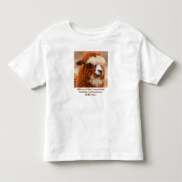 Camiseta Infantil Melhor Sobrancelha Única de Alpaca