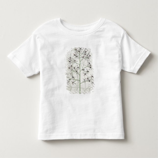 Camiseta Infantil Melia Azedarach de "Phytographie Medicale" por Jo (Frente)