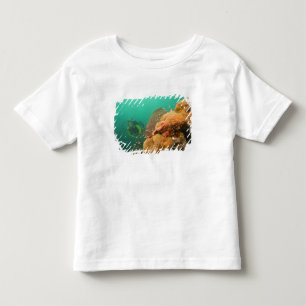 Camiseta Infantil mergulhador & peixe-escorpião Scorpanopsis