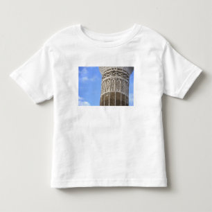 Camiseta Infantil Mesquita Al Bakiriya em Sana'a Antiga, Iêmen