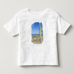 Camiseta Infantil México, Baja Califórnia Sul, Mulege, Bahia