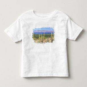 Camiseta Infantil México, Baja California Sur, Cardon Cactus em
