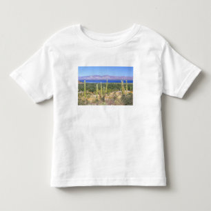 Camiseta Infantil México, Baja California Sur, Cardon Cactus em