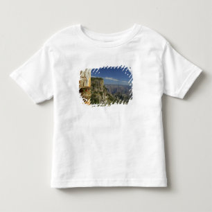 Camiseta Infantil México, Chihuahua, Canyon de Cobre. Vista desde