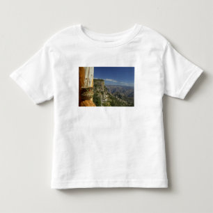 Camiseta Infantil México, Chihuahua, Copper Canyon. Vista do