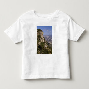 Camiseta Infantil México, Estado de Chihuahua, Canyon de Cobre. ESTE