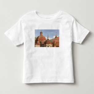 Camiseta Infantil México, Estado de Guanajuato, Guanajuato. Modelo 