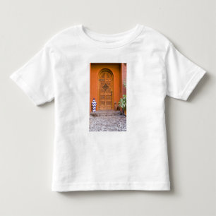 Camiseta Infantil México, estado de Guanajuato, San Miguel. Casa de