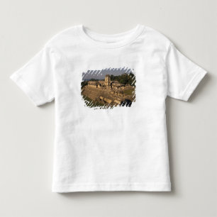 Camiseta Infantil México, província de Chiapas, Palenque, O Palácio