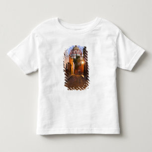 Camiseta Infantil México, San Miguel de Allende. Madrugada