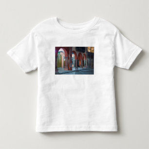 Camiseta Infantil México, San Miguel de Allende, O Jardin,