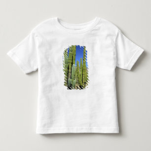 Camiseta Infantil México, Sonora, San Carlos. Saguaro & Organ Pipe