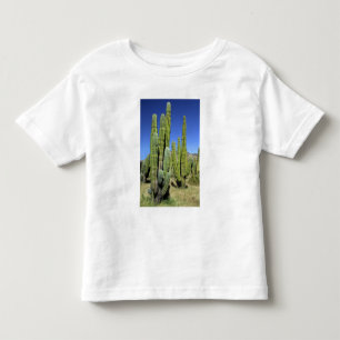 Camiseta Infantil México, Sonora, San Carlos. Saguaro & Organ Pipe