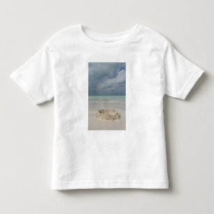 Camiseta Infantil México, Yucatán, Ilha Mujeres Ilha de