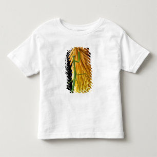 Camiseta Infantil Michigan, Rochester Hills. Louva-a-deus no Vermelh