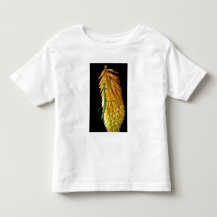 Camiseta Infantil Michigan, Rochester Hills. Louva-a-deus no Vermelh