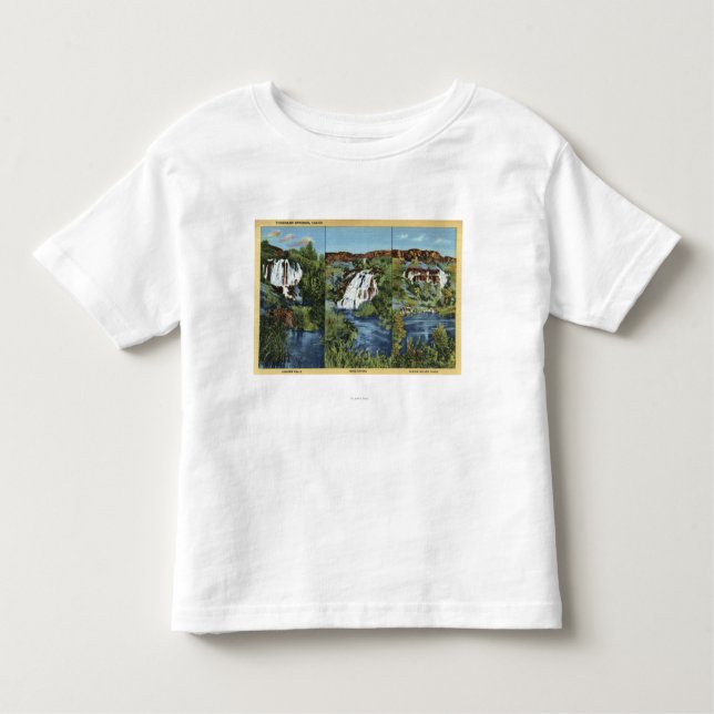 Camiseta Infantil Mil primaveras, identificação - zimbro, asa, e (Frente)