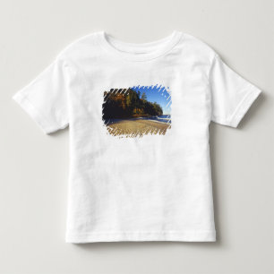 Camiseta Infantil Miners Beach no Pictures Rocks National