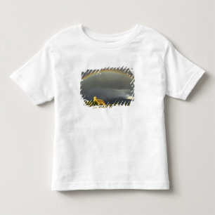 Camiseta Infantil Missão Histórica de Ignatius da Rua em Ignatius,