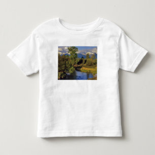 Camiseta Infantil Mission Creek no National Bison Range em