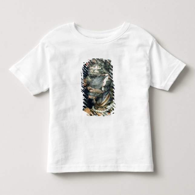 Camiseta Infantil Molhe, (óleo em canvas), Arcimboldo, Giuseppe (Frente)