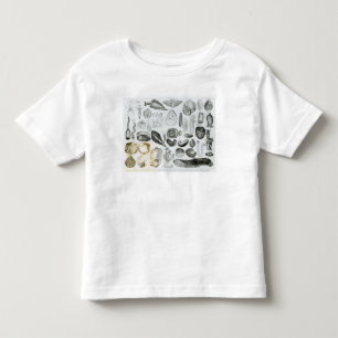 Camiseta Infantil Moluscos