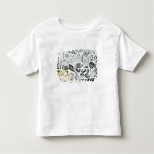 Camiseta Infantil Moluscos