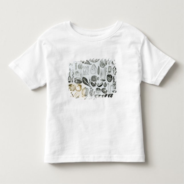 Camiseta Infantil Moluscos (Frente)