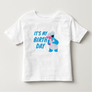 Camiseta Infantil Monstro do Biscoito e Gonger É o meu aniversário