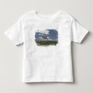 Camiseta Infantil Montanha principal com os pastos de pastar o gado