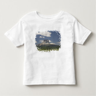 Camiseta Infantil Montanha principal com os pastos de pastar o gado