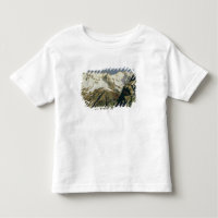 Montanhas de Mont Blanc, 1897