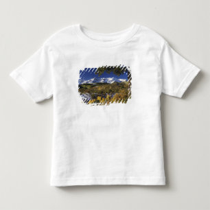 Camiseta Infantil Montanhas de San Juan e árvores Aspen em cor de ou