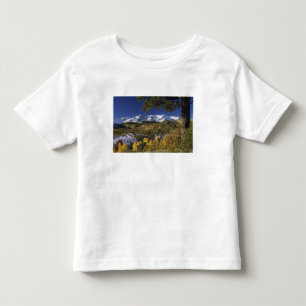 Camiseta Infantil Montanhas de San Juan e árvores Aspen em cores de