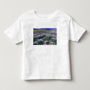 Camiseta Infantil Montanhas e flores silvestres em prado alpino,