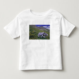 Camiseta Infantil Montanhas e flores silvestres em prado alpino, Azu