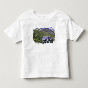 Camiseta Infantil Montanhas e flores silvestres em prado alpino, Azu